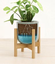 Load image into Gallery viewer, Reactive Aqua stand:bamboo
