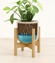 Load image into Gallery viewer, Sage Green stand:bamboo
