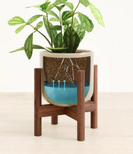 Load image into Gallery viewer, Sage Green stand:walnut
