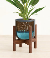 Load image into Gallery viewer, Iron Gray stand:walnut
