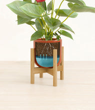 Load image into Gallery viewer, Glossy Red stand:bamboo
