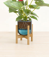 Load image into Gallery viewer, Iron Gray stand:bamboo
