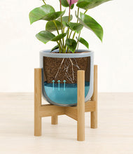 Load image into Gallery viewer, Misty Blue stand:bamboo
