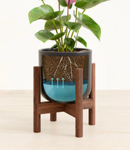 Load image into Gallery viewer, Stone Black stand:walnut
