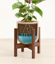 Load image into Gallery viewer, Glossy Pink stand:walnut
