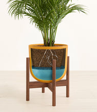 Load image into Gallery viewer, Sunset Orange stand:walnut
