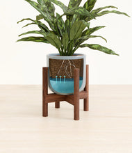 Load image into Gallery viewer, Misty Blue stand:walnut
