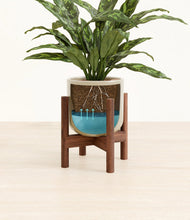 Load image into Gallery viewer, Sage Green stand:walnut
