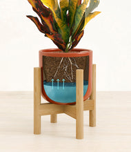 Load image into Gallery viewer, Glossy Red stand:bamboo
