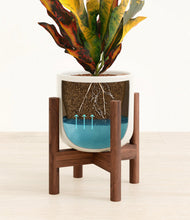 Load image into Gallery viewer, Cotton White stand:walnut
