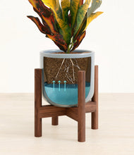 Load image into Gallery viewer, Misty Blue stand:walnut
