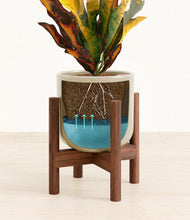 Load image into Gallery viewer, Sage Green stand:walnut
