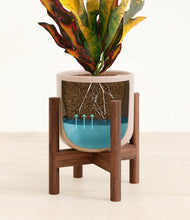 Load image into Gallery viewer, Sandy Pink stand:walnut
