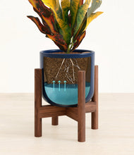 Load image into Gallery viewer, Twilight Blue stand:walnut
