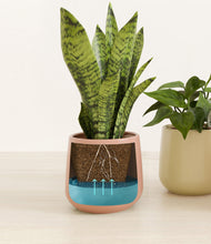 Load image into Gallery viewer, Lily Pad
