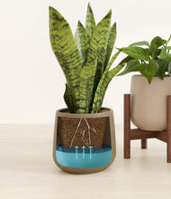 Load image into Gallery viewer, Woodland stand:one_stand
