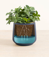 Load image into Gallery viewer, Deep Navy
