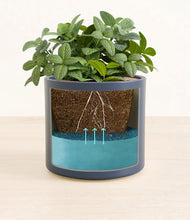 Load image into Gallery viewer, Deep Navy
