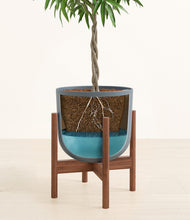 Load image into Gallery viewer, Iron Gray stand:walnut
