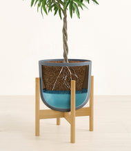 Load image into Gallery viewer, Iron Gray stand:bamboo
