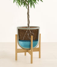 Load image into Gallery viewer, Sage Green stand:bamboo
