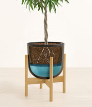 Load image into Gallery viewer, Stone Black stand:bamboo
