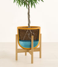 Load image into Gallery viewer, Sunset Orange stand:bamboo
