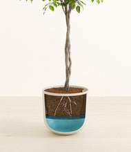 Load image into Gallery viewer, Natural Bamboo
