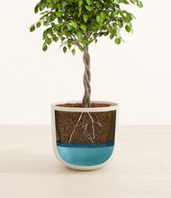 Load image into Gallery viewer, Natural Bamboo
