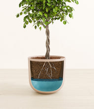 Load image into Gallery viewer, Sandy Pink
