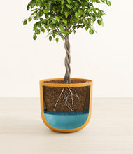 Load image into Gallery viewer, Sunset Orange
