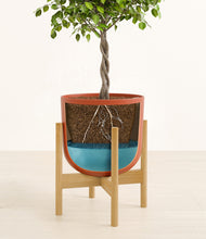 Load image into Gallery viewer, Earth Red stand:bamboo
