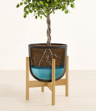 Load image into Gallery viewer, Stone Black stand:bamboo
