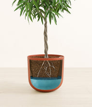 Load image into Gallery viewer, Earth Red
