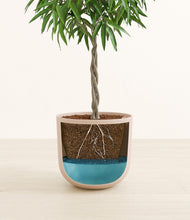 Load image into Gallery viewer, Sandy Pink
