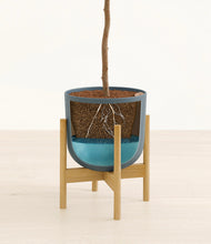 Load image into Gallery viewer, Iron Gray stand:bamboo
