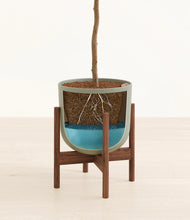 Load image into Gallery viewer, Sage Green stand:walnut
