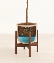 Load image into Gallery viewer, Sandy Pink stand:walnut
