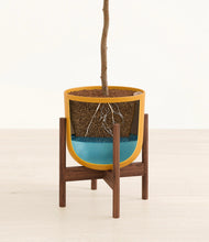 Load image into Gallery viewer, Sunset Orange stand:walnut
