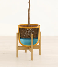 Load image into Gallery viewer, Sunset Orange stand:bamboo
