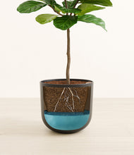 Load image into Gallery viewer, Stone Black
