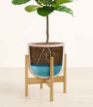 Load image into Gallery viewer, Sandy Pink stand:bamboo
