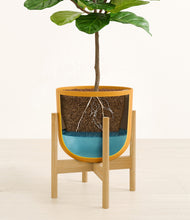 Load image into Gallery viewer, Sunset Orange stand:bamboo
