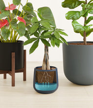 Load image into Gallery viewer, Charcoal stand:one_stand
