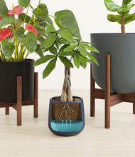 Load image into Gallery viewer, Charcoal stand:two_stands
