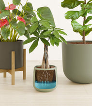 Load image into Gallery viewer, Countryside stand:one_stand
