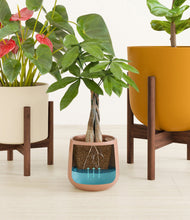 Load image into Gallery viewer, Evening Sky stand:two_stands
