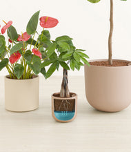 Load image into Gallery viewer, Peach Blossom
