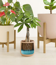 Load image into Gallery viewer, Sandy stand:two_stands
