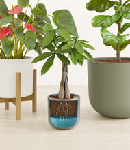 Load image into Gallery viewer, Whispering Waves stand:one_stand
